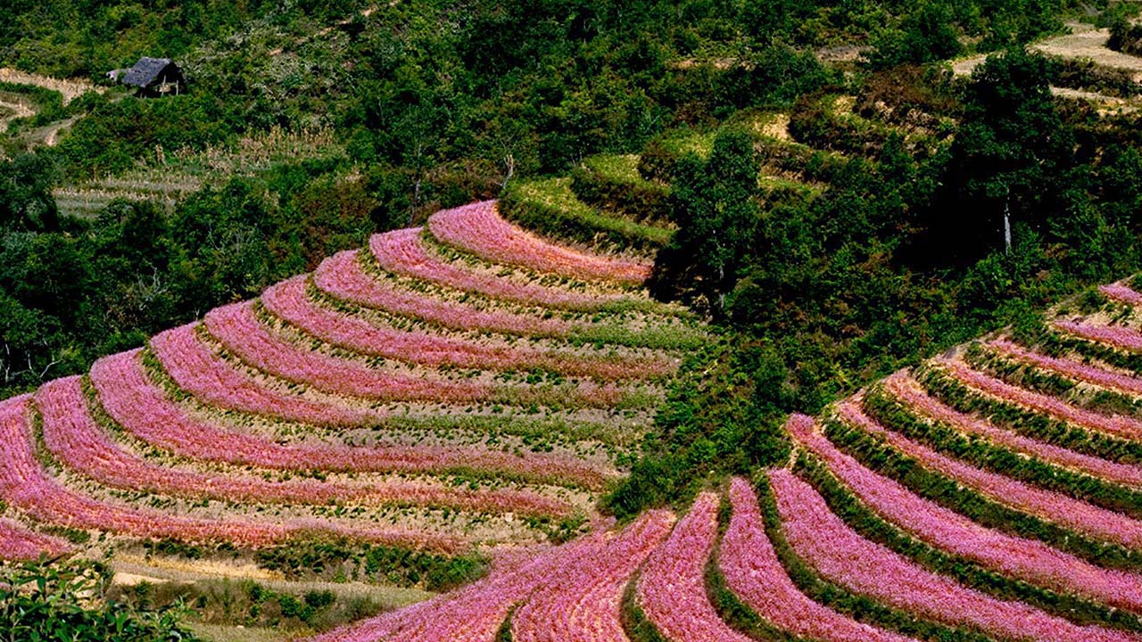 TOUR NGHỆ AN HÀ GIANG 3 NGÀY 3 ĐÊM