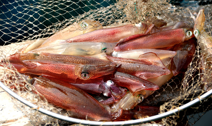Tour du lịch Hà Tĩnh trọn gói 2 ngày 1 đêm