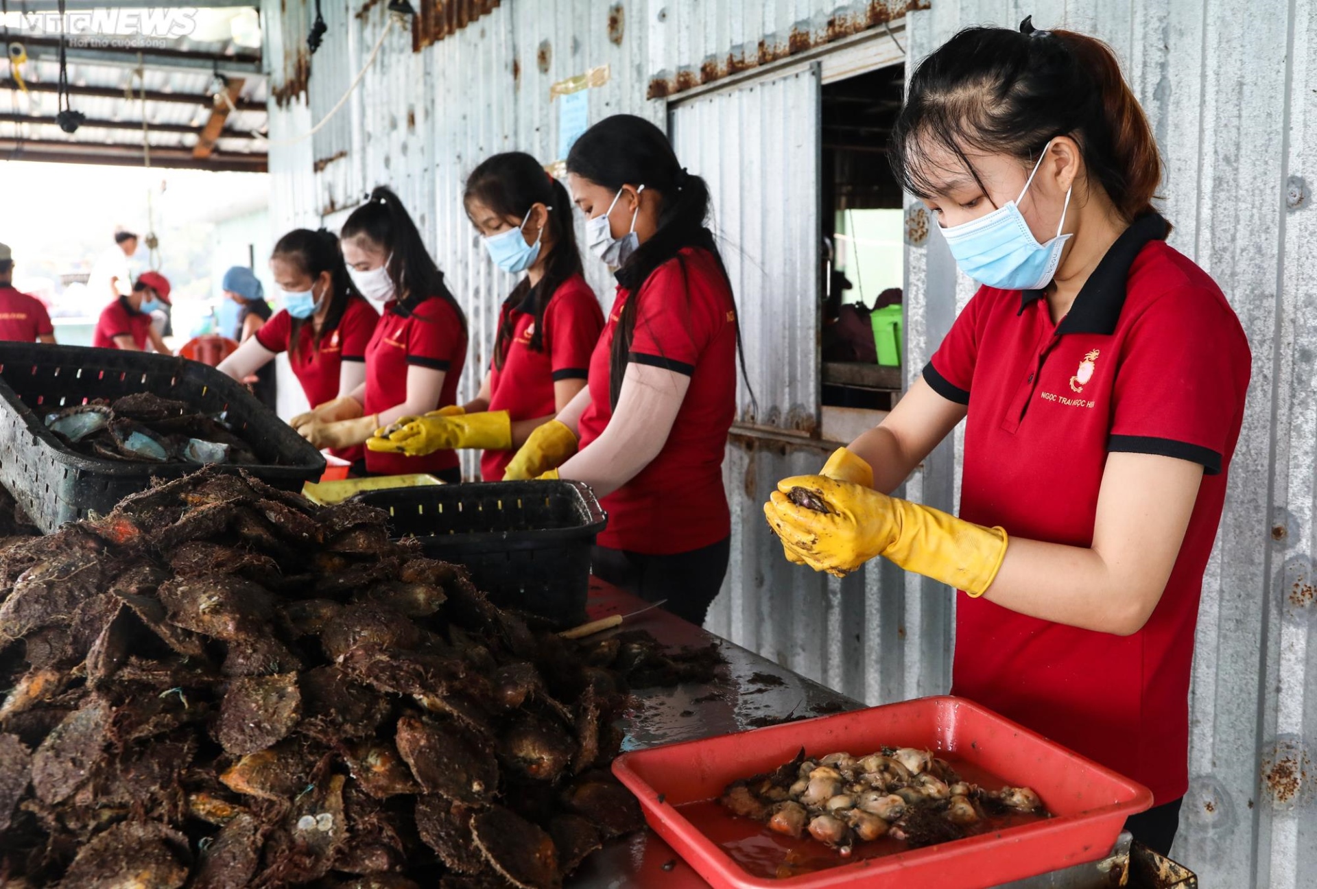 TOUR HÀ TĨNH - PHÚ QUỐC TRỌN GÓI 3 NGÀY 2 ĐÊM