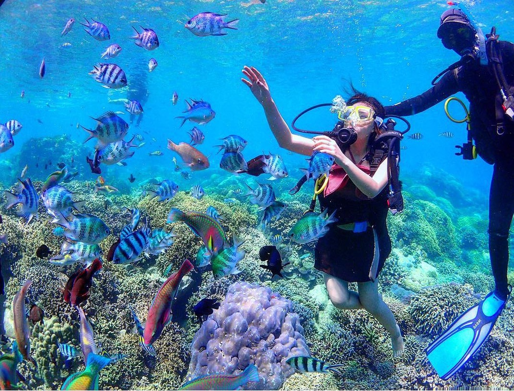 Tour Nha Trang 3 ngày 2 đêm khởi hành từ Hà Nội