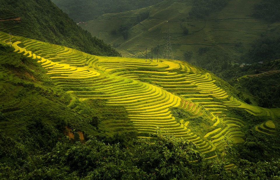Tour du lịch Hà Tĩnh - Sapa - Bản Cát Cát - Fansipan 3 ngày 2 đêm