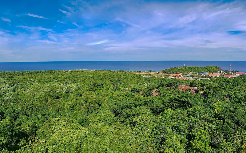 TOUR DU LỊCH QUẢNG TRỊ 2N1Đ: Khám phá Đảo Cồn Cỏ Hoang Sơ