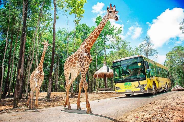 Tour Vinwonders - Safari - Grand World Phú Quốc 1 ngày