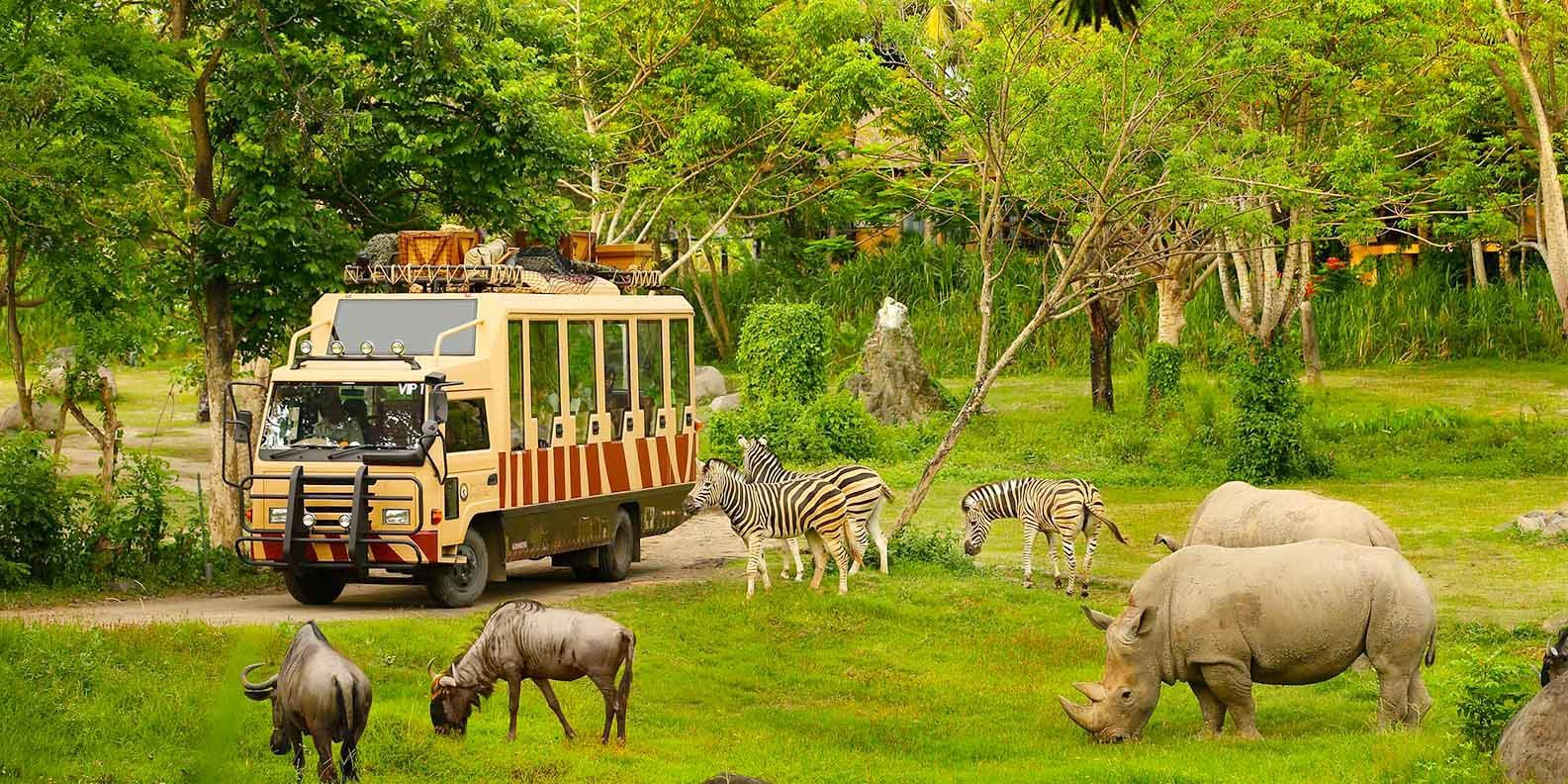 Tour Vinwonders - Safari - Grand World Phú Quốc 1 ngày