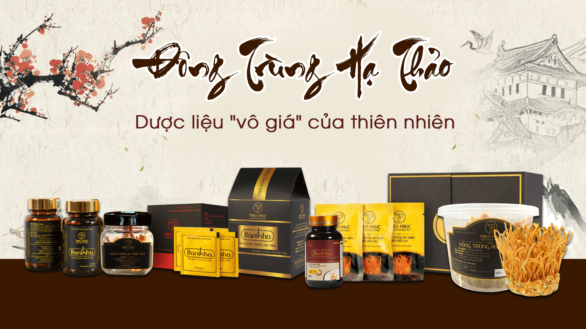 Đông Trùng Hạ Thảo Thiên Phúc