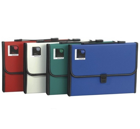 CẶP TÀI LIỆU 12 NGĂN DELI 5559 (CÁI)