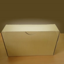 HỘP ĐỰNG HỒ SƠ CARTON 13P (CÁI)