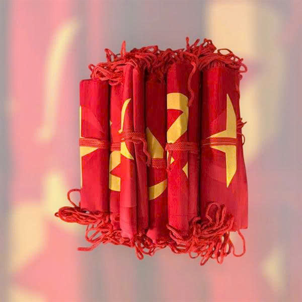 CỜ DÂY 2 MẶT 10M (BỘ)