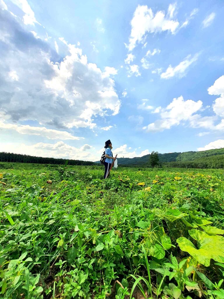 Trở Về Thiên Nhiên