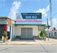 Ảnh 1