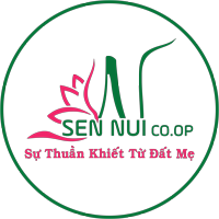 logo HTX Sen Núi