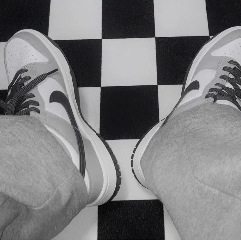 783 -  Giày Nike Dunk Low Light Smoke Grey - Code DD1503-117 [HÀNG CHÍNH HÃNG]