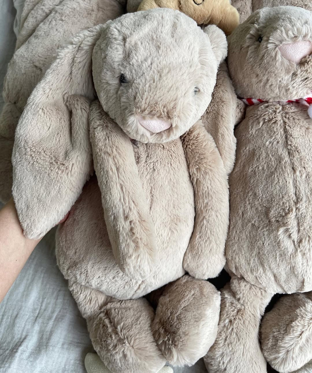 JellyCat Bashful Bunny Beige Huge 51cm | CHÍNH HÃNG GIÁ TỐT GIAO NHANH