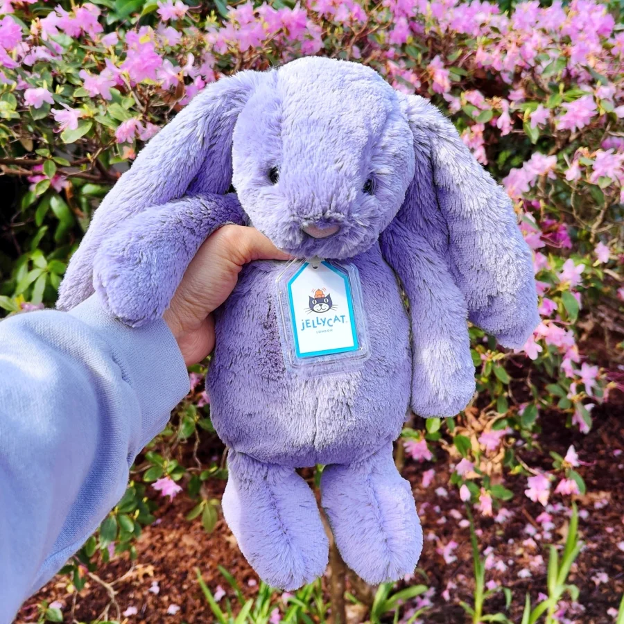 Jellycat Bashful Bunny Viola Medium 31cm Chính Hãng
