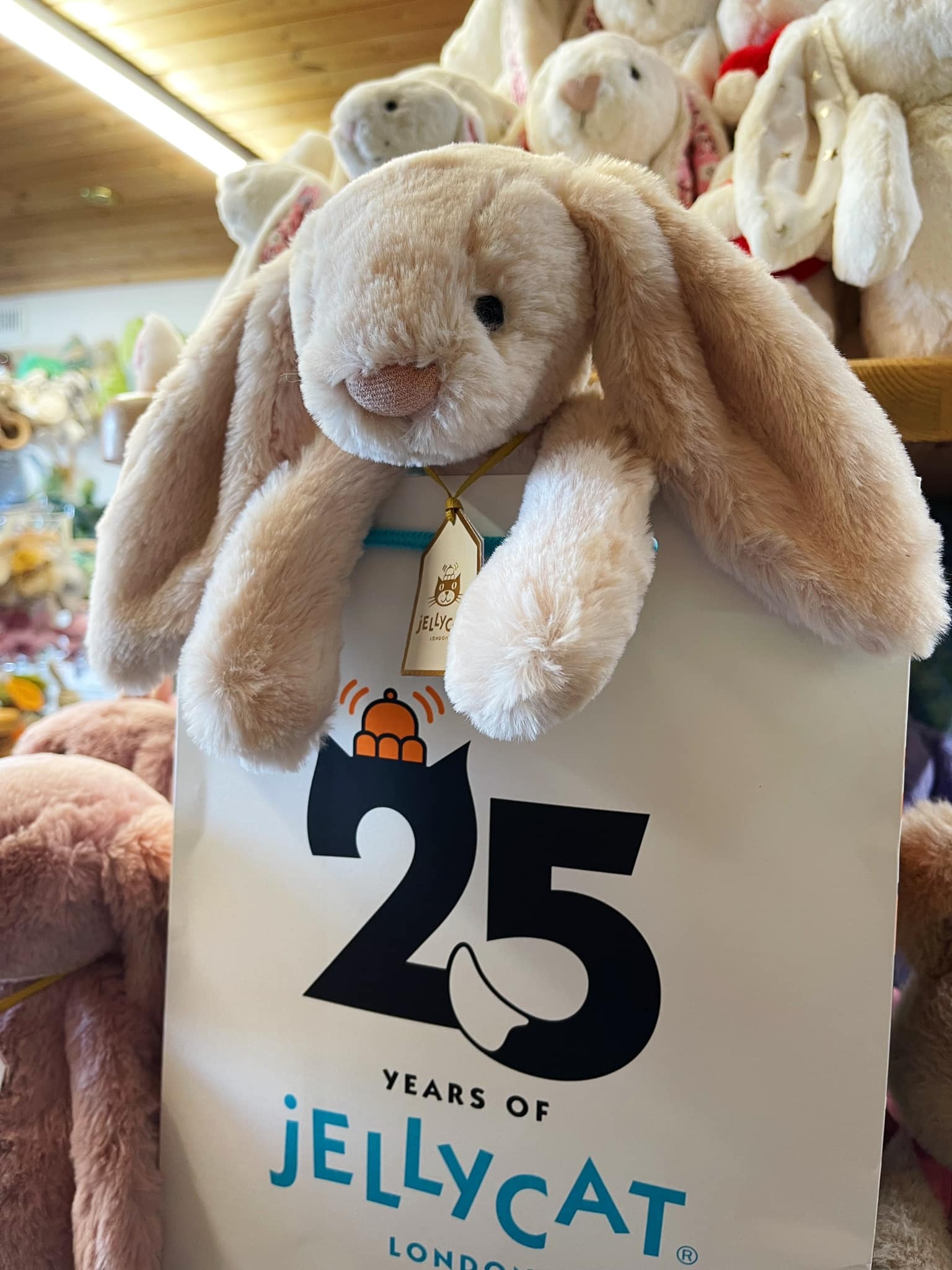 2577 - JellyCat Luxe Willow Bunny 31cm - JellyCat Bashful Luxe Bunny Willow Medium 31cm [HÀNG CHÍNH HÃNG]