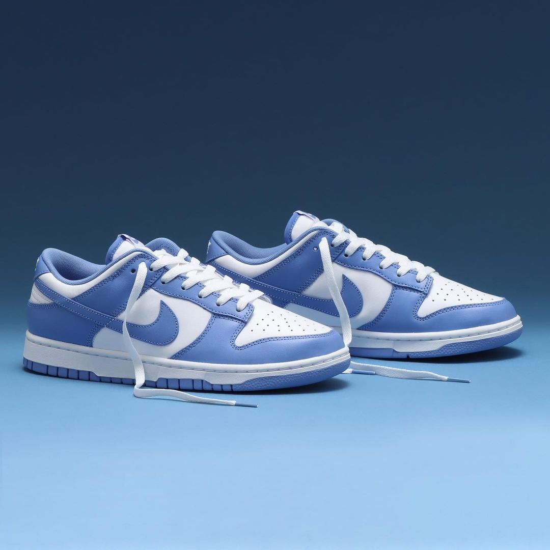 786 -  Giày Nike Dunk Low Retro White Polar Blue - Code DV0833-400 [HÀNG CHÍNH HÃNG]
