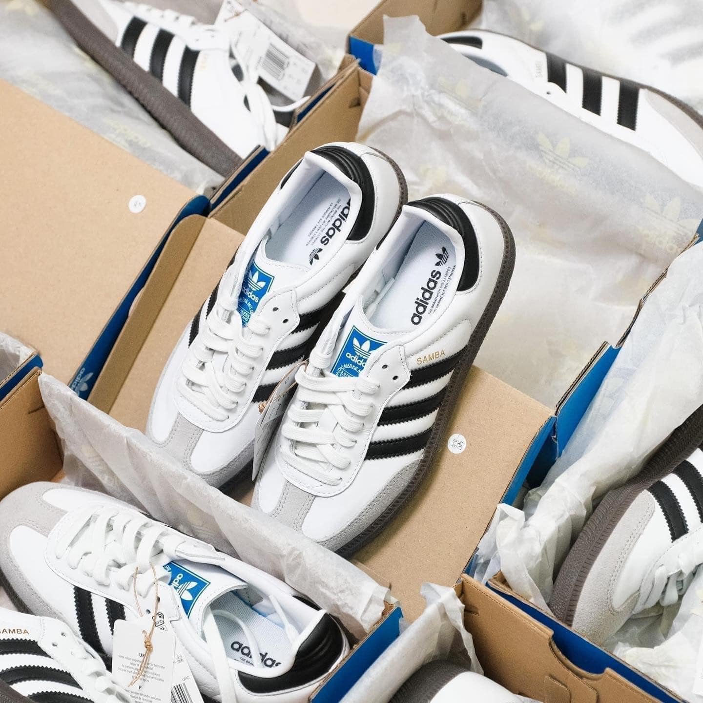 550 -  Giày Adidas Samba OG White Black Gum - Trắng Đế Gum - Code B75806 [HÀNG CHÍNH HÃNG]