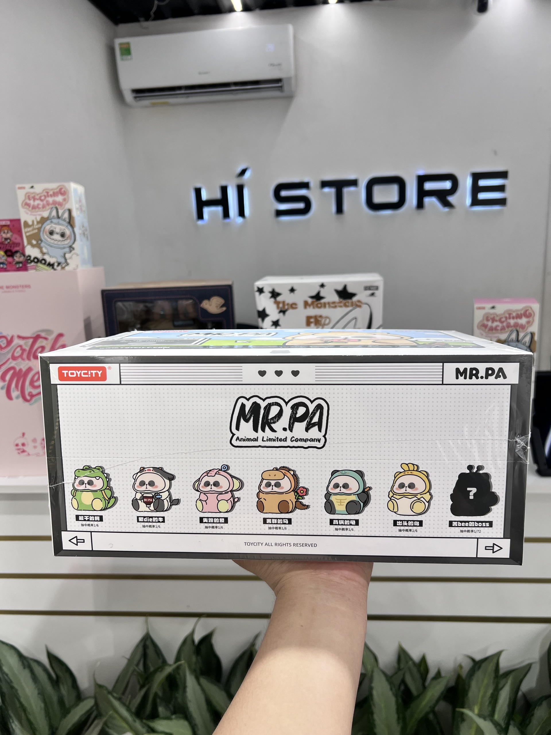 1191 - Mr Pa Animal Vinyl ToyCity (Mr Panda) - Set 6 hộp [CHÍNH HÃNG]