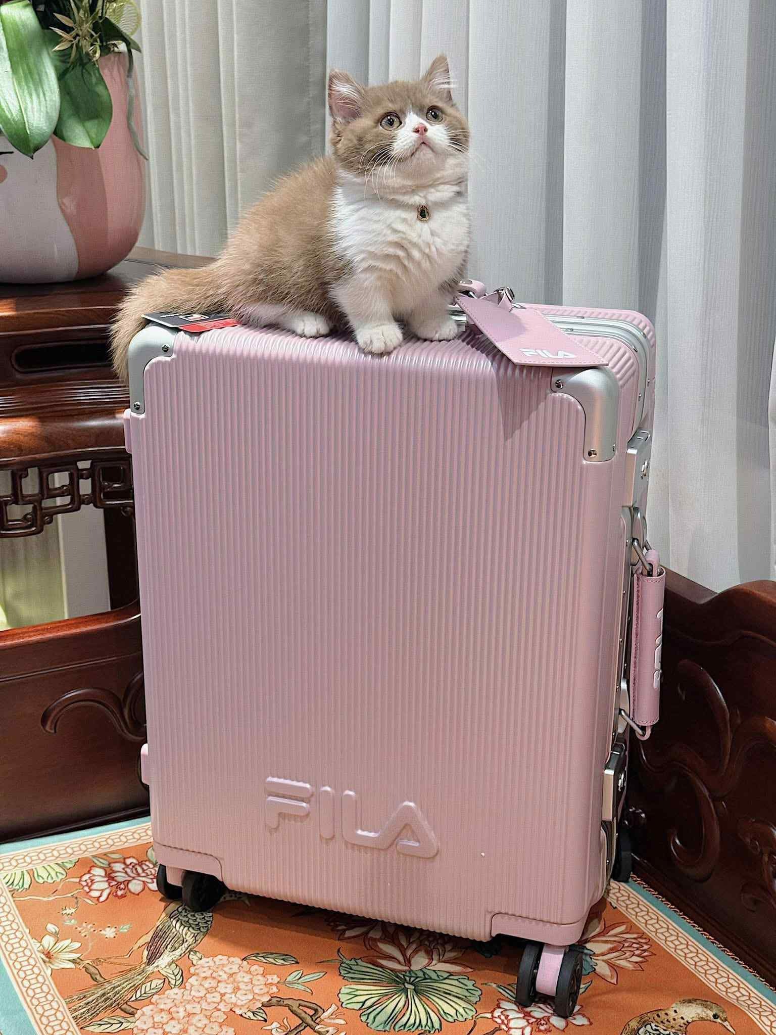 1321 - Vali Fila Hồng Size Cabin 22 Xách Tay Embossed Logo [HÀNG CHÍNH HÃNG] [HÀNG CHÍNH HÃNG]