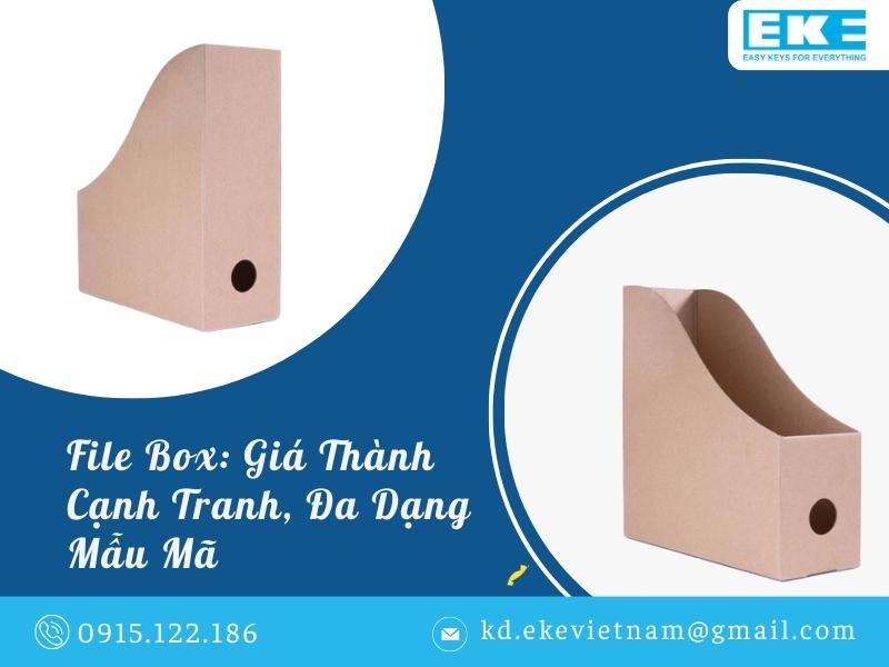 File Box: Giá Thành Cạnh Tranh, Đa Dạng Mẫu Mã