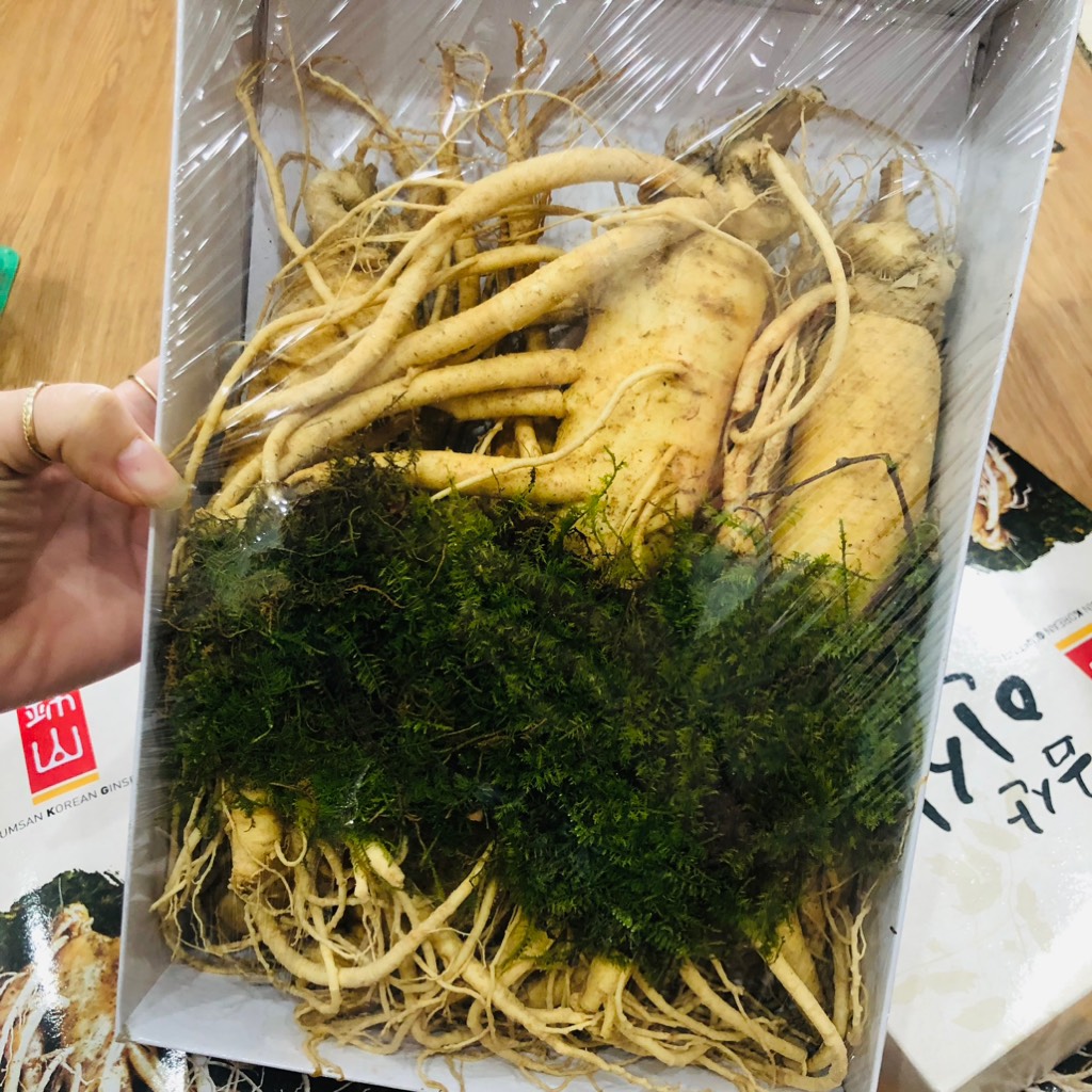 Sâm tươi 5 củ 1kg