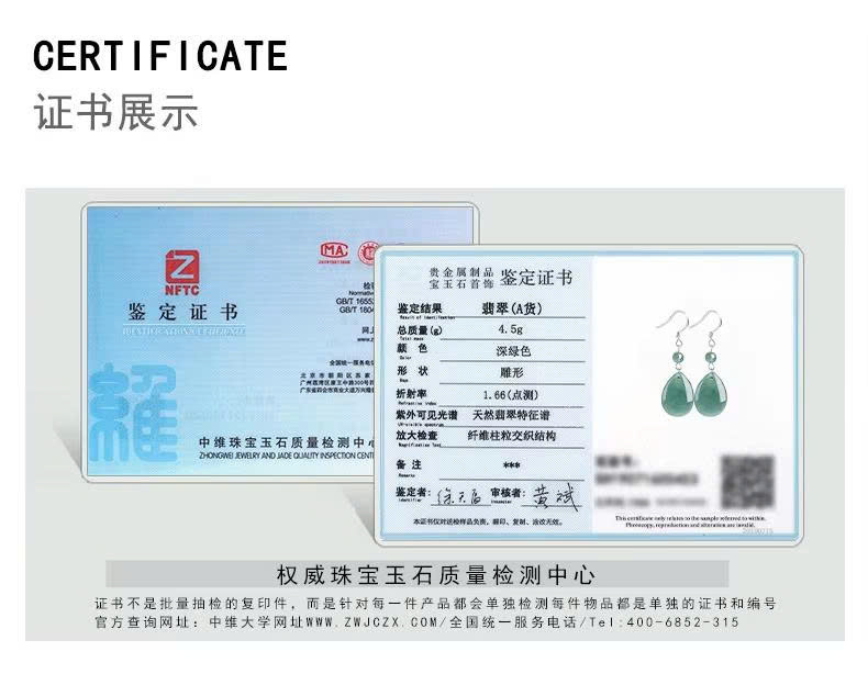 Bông Tai Cao Cấp Thương Hiệu ESME D604