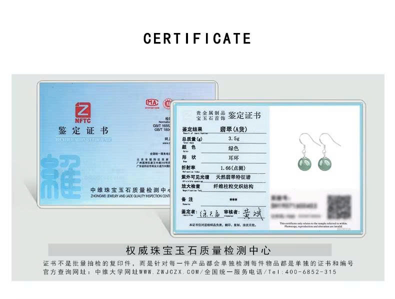 Bông Tai Cao Cấp Thương Hiệu ESME D049