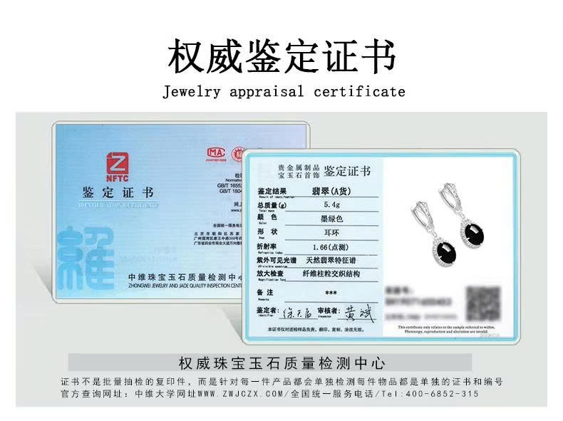 Bông tai Cao Cấp Thương Hiệu ESME ES316AS-D294