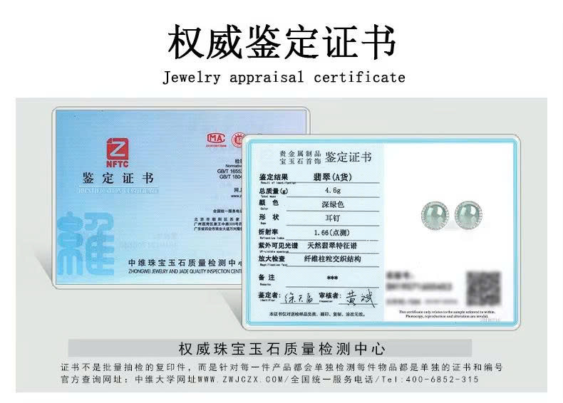 Bông tai Cao Cấp Thương Hiệu ESME ES318AS-D597