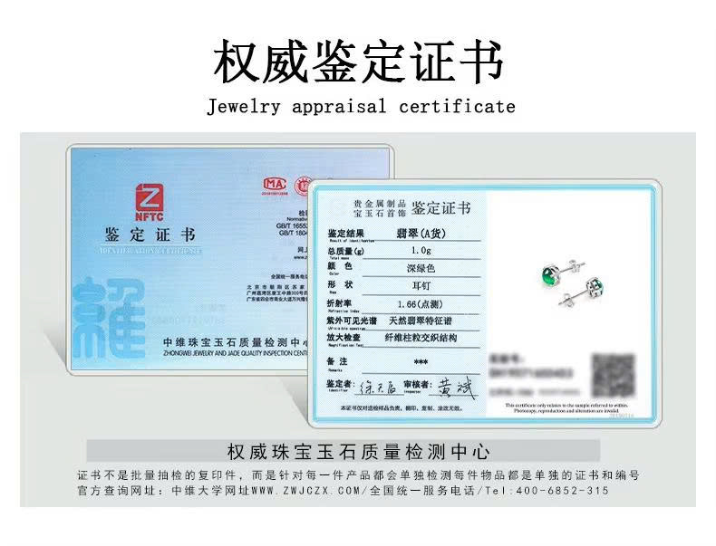 Bông tai Cao Cấp Thương Hiệu ESME ES326AS-D736