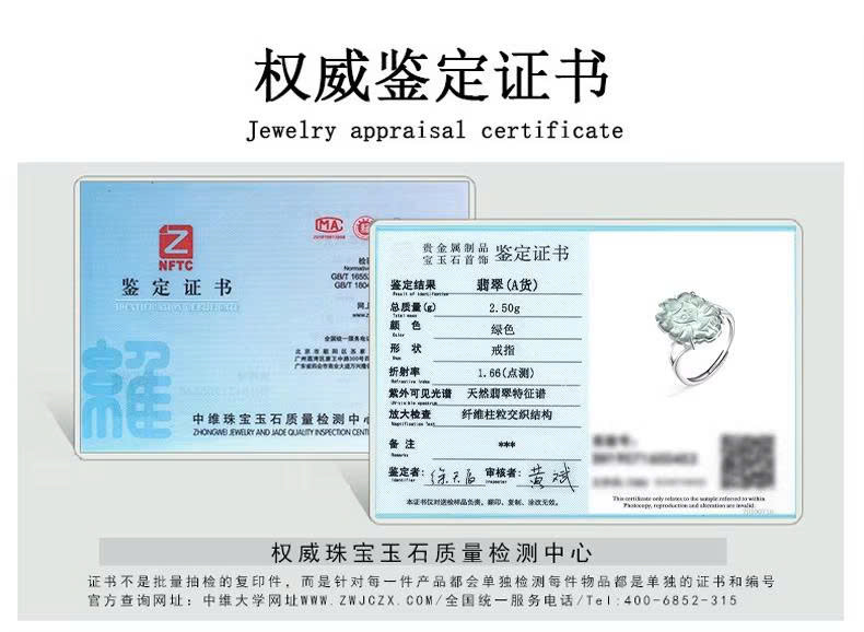 Nhẫn Cao Cấp Thương Hiệu ESME ES330AS-D1017