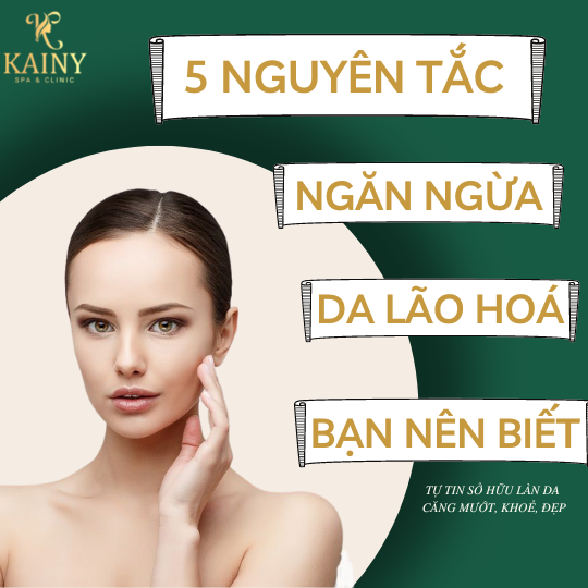 5 NGUYÊN TẮC CƠ BẢN ĐỂ NGĂN NGỪA LÃO HOÁ TỪ TRONG RA NGOÀI