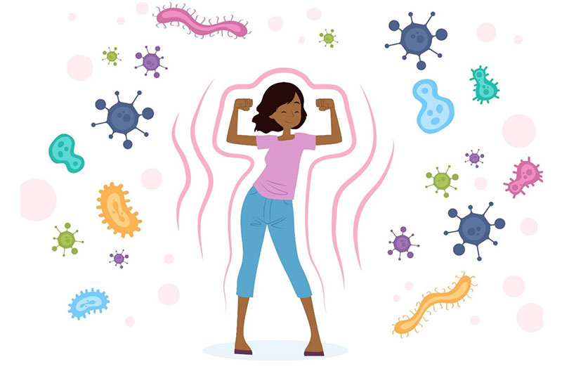 Yakult Có Thật Sự Tốt Không? Hé Lộ Thời Điểm Uống Mang Lại Hiệu Quả Tối Ưu