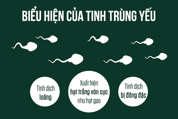Nguyên Nhân Tình Trạng Tinh Trùng Yếu Thường Gặp Là Gì? Dấu Hiệu Và Cách Khắc Phục
