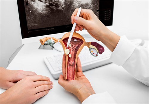 Chỗ nhạy cảm của con gái nằm ở đâu ngoài điểm G? Còn bao nhiêu điểm nhạy cảm khác? Giải đáp chi tiết