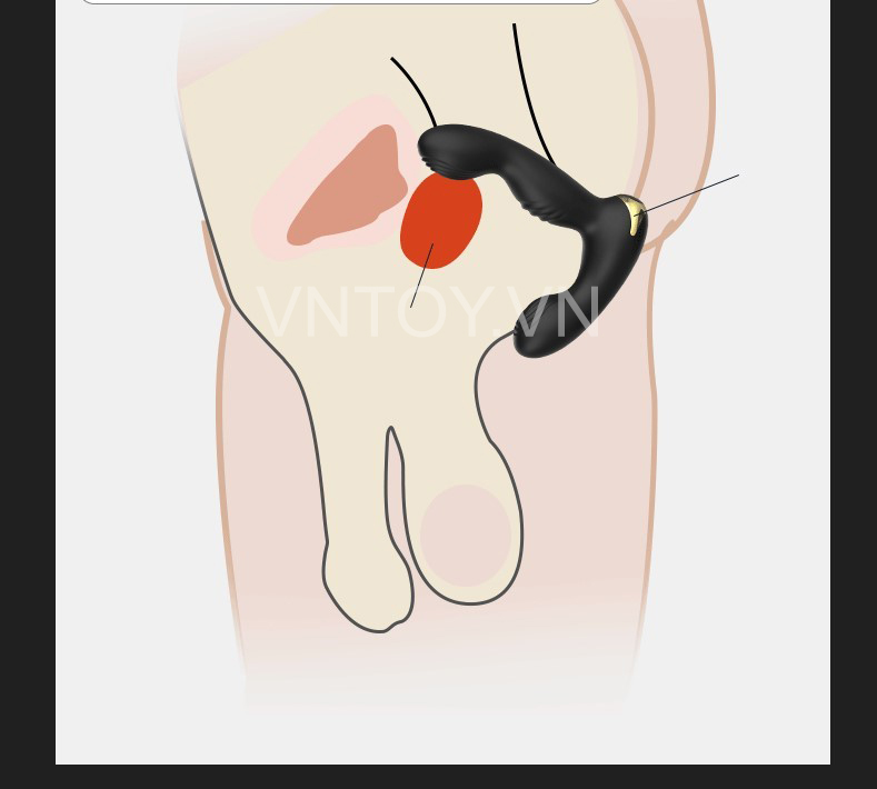 Máy rung hậu môn gắn quần lót điều khiển từ xa