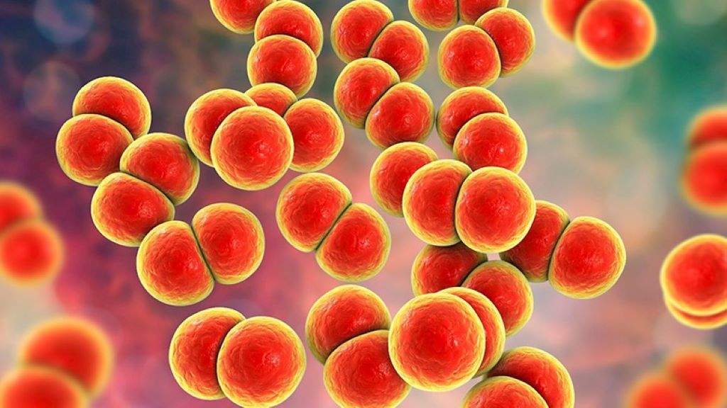 Các Giai Đoạn Của Bệnh Lậu: Triệu Chứng Theo Từng Giai Đoạn Và Cách Điều Trị
