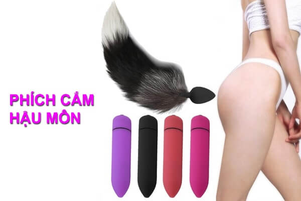 Đồ Chơi Hậu Môn Giá Rẻ Chính Hãng Tại VNTOY – Khám Phá Khoái Cảm Mới Lạ & An Toàn