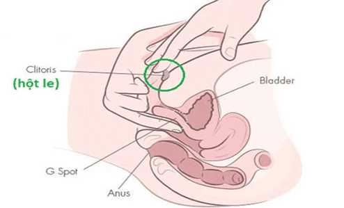 Cách Tìm Và Kích Thích Điểm G Đúng Cách Để Tăng Khoái Cảm