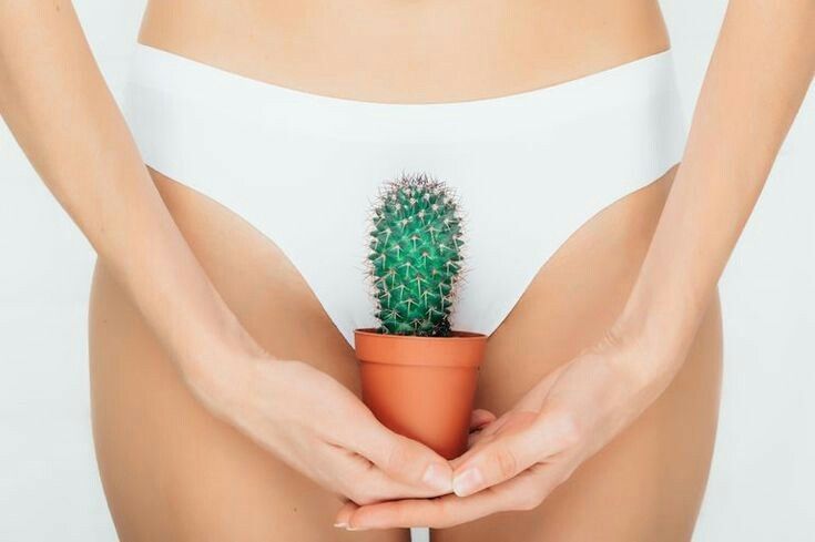 Giảm Ngứa Vùng Kín: Nguyên Nhân, Cách Khắc Phục Và Những Điều Cần Biết