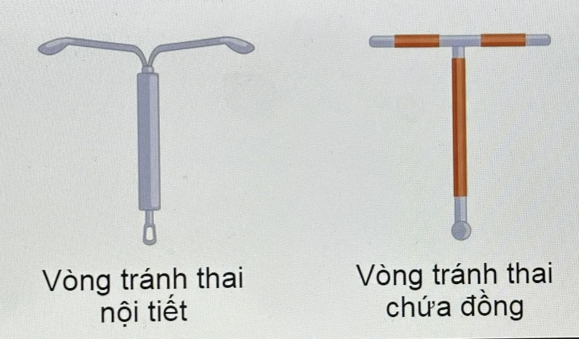 Khi Nào Nên Đặt Vòng Tránh Thai? So Sánh Chi Tiết Vòng Đồng Và Vòng Nội Tiết