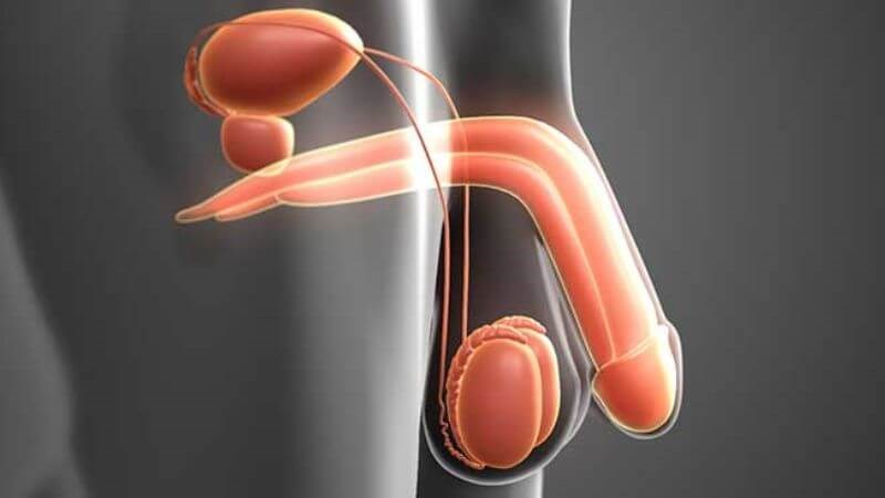 Những điểm nhạy cảm của cơ thể đàn ông hễ chạm là cứng – Top vùng kích thích mạnh nhất