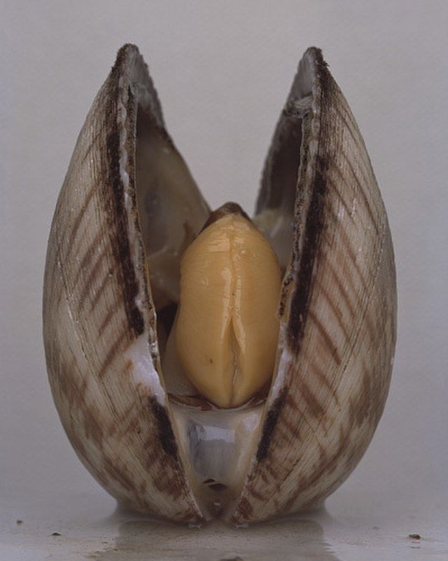 Lâu ngày không quan hệ vùng kín có khít lại không? Sự thật ít người biết