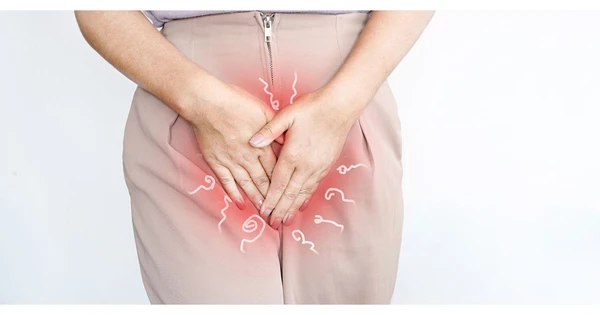 Ngứa Vùng Kín Ở Phụ Nữ: Nguyên Nhân Phổ Biến Và Cách Khắc Phục Hiệu Quả