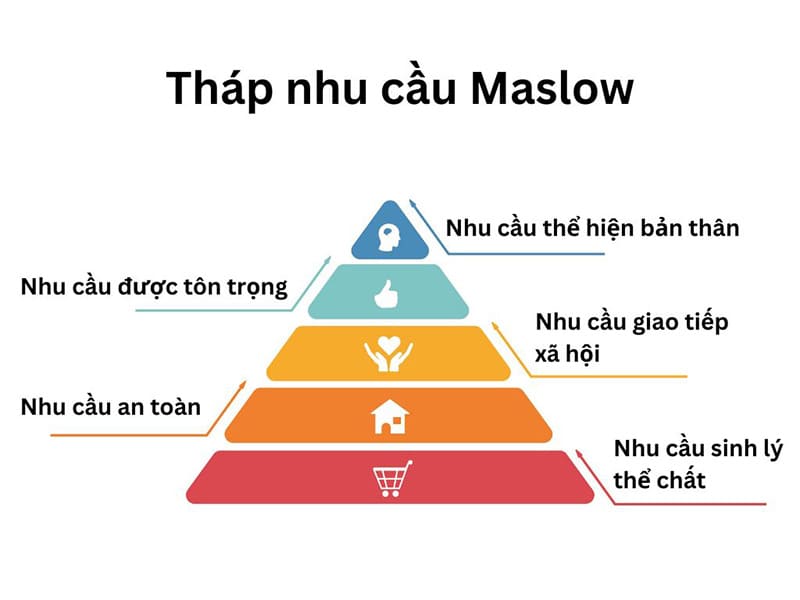 Nhu Cầu Sinh Lý Là Gì? Thay Đổi Theo Tuổi Tác Và Cách Cân Bằng Hiệu Quả