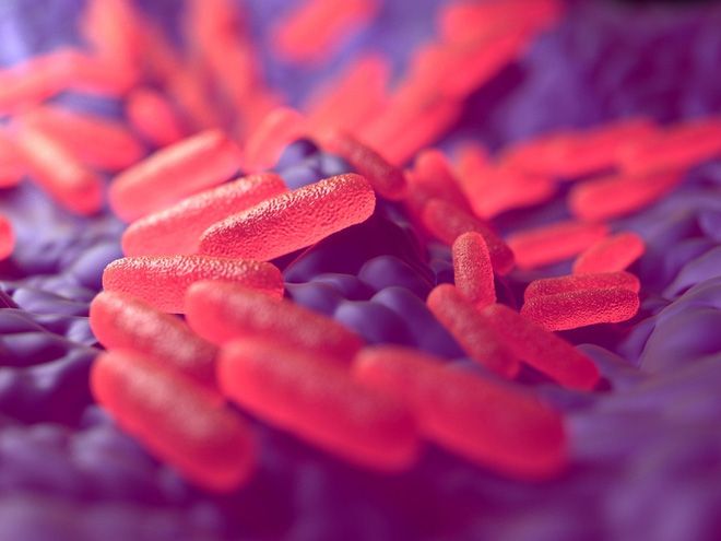 Vi Khuẩn HP Có Gây Hôi Miệng Không? Cách Giảm Mùi Hôi Hiệu Quả