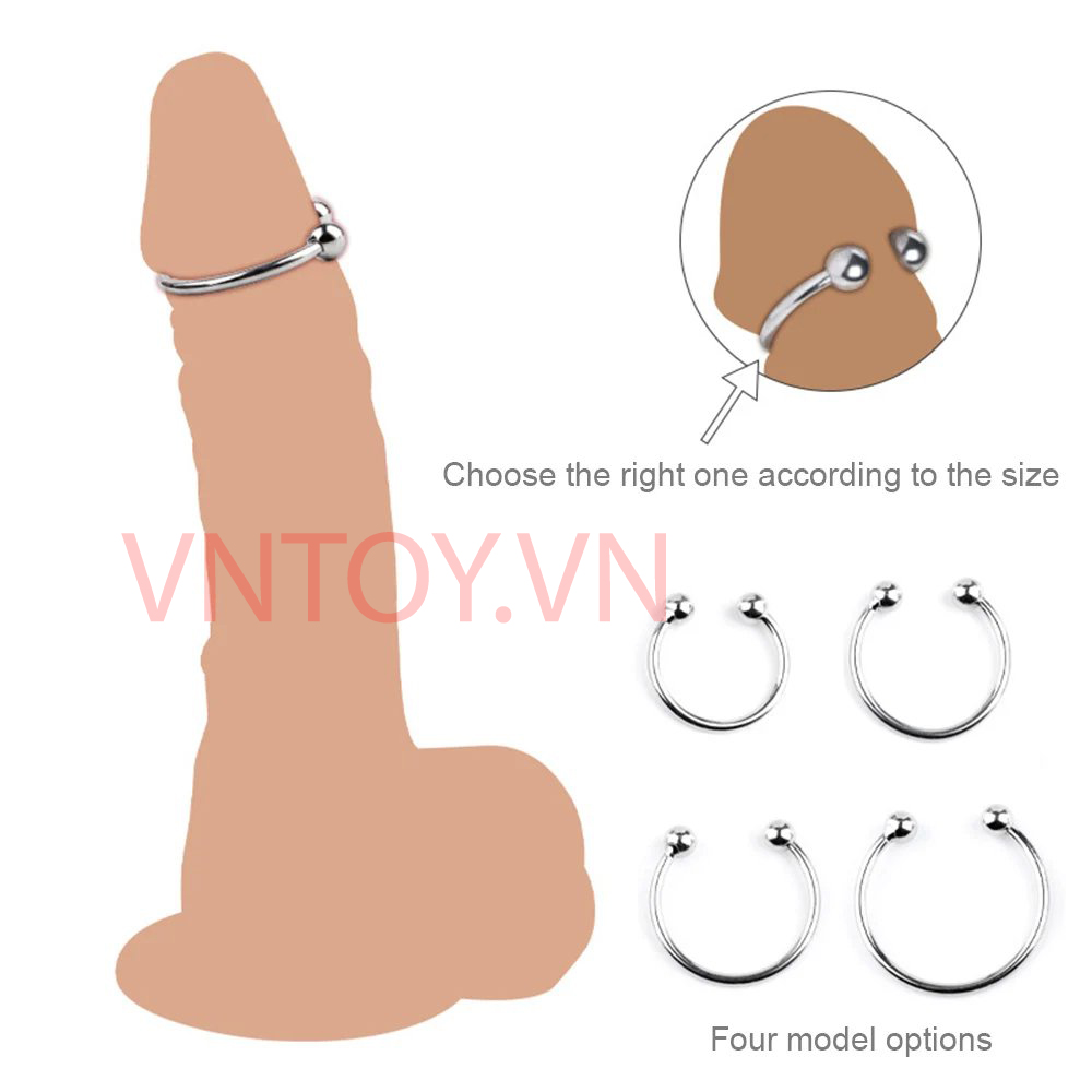 Vòng bi Inox đeo dương vật - Vòng 2 bi