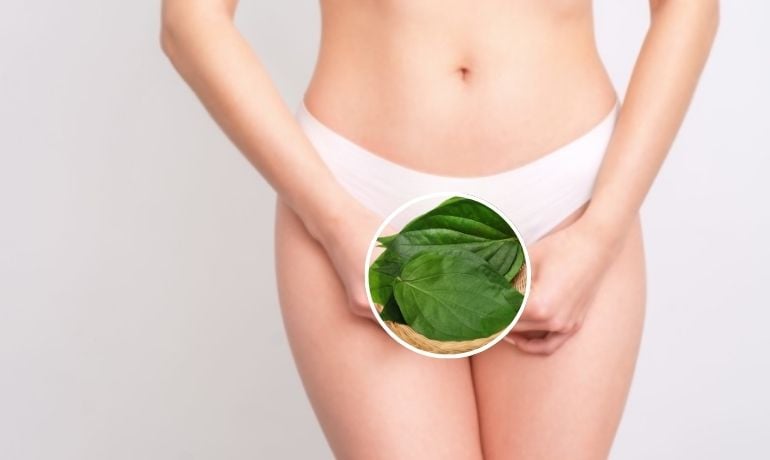 Vùng Kín Có Cặn Trắng Là Gì? Nguyên Nhân Và Cách Xử Lý Đúng Cách