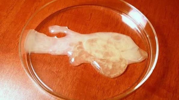 Nguyên Nhân Xuất Tinh Ra Máu Và Những Dấu Hiệu Cần Đi Khám Ngay
