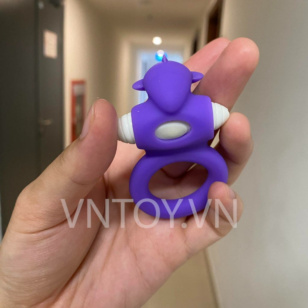 Vòng rung tình yêu cá heo Dolphin Cock Ring